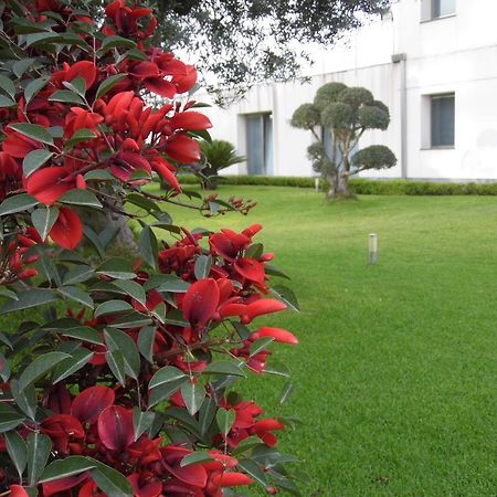 Fiore Dell'Etna Apartment Санта Венерина Екстериор снимка