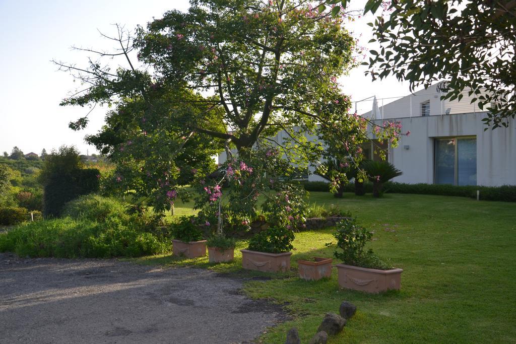Fiore Dell'Etna Apartment Санта Венерина Екстериор снимка