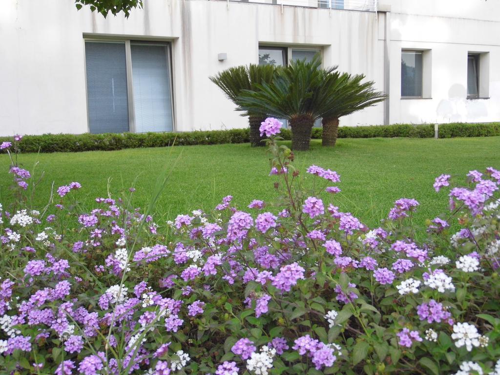 Fiore Dell'Etna Apartment Санта Венерина Екстериор снимка